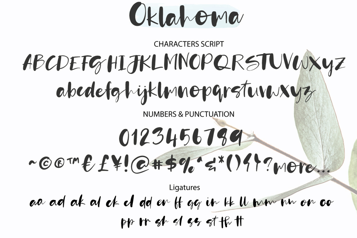 Oklahoma, a Script Font by Artstudio (Photo 9 of 10)