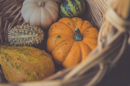 Pumpkins in a wicker basket