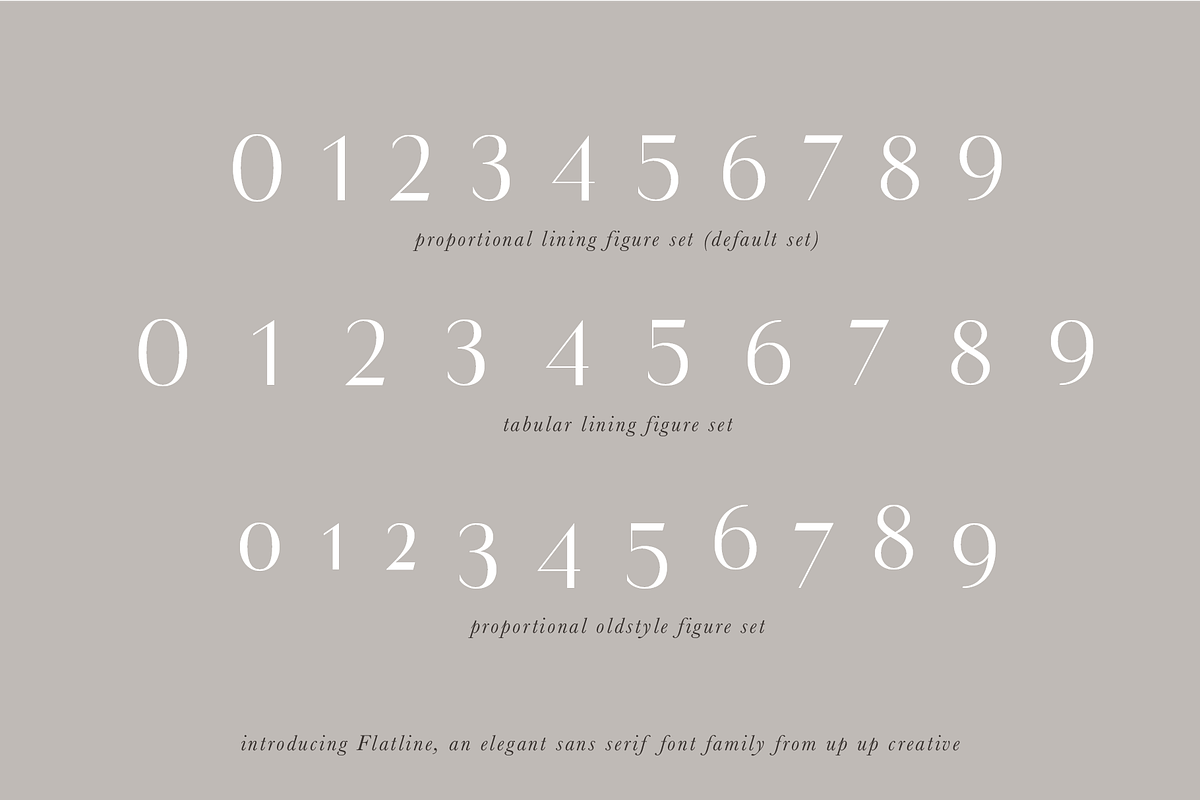 Flatline Sans Complete - 16 fonts, a Sans Serif Font by Up Up Creative (Photo 9 of 10)