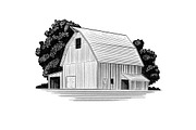 Large Midwestern Barn, a Work Illustration by blue67sign (Thumbnail 2 of 4)