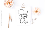 Blvd. St. Germain Signature Script, a Script Font by Kreanille Design (Thumbnail 10 of 14)
