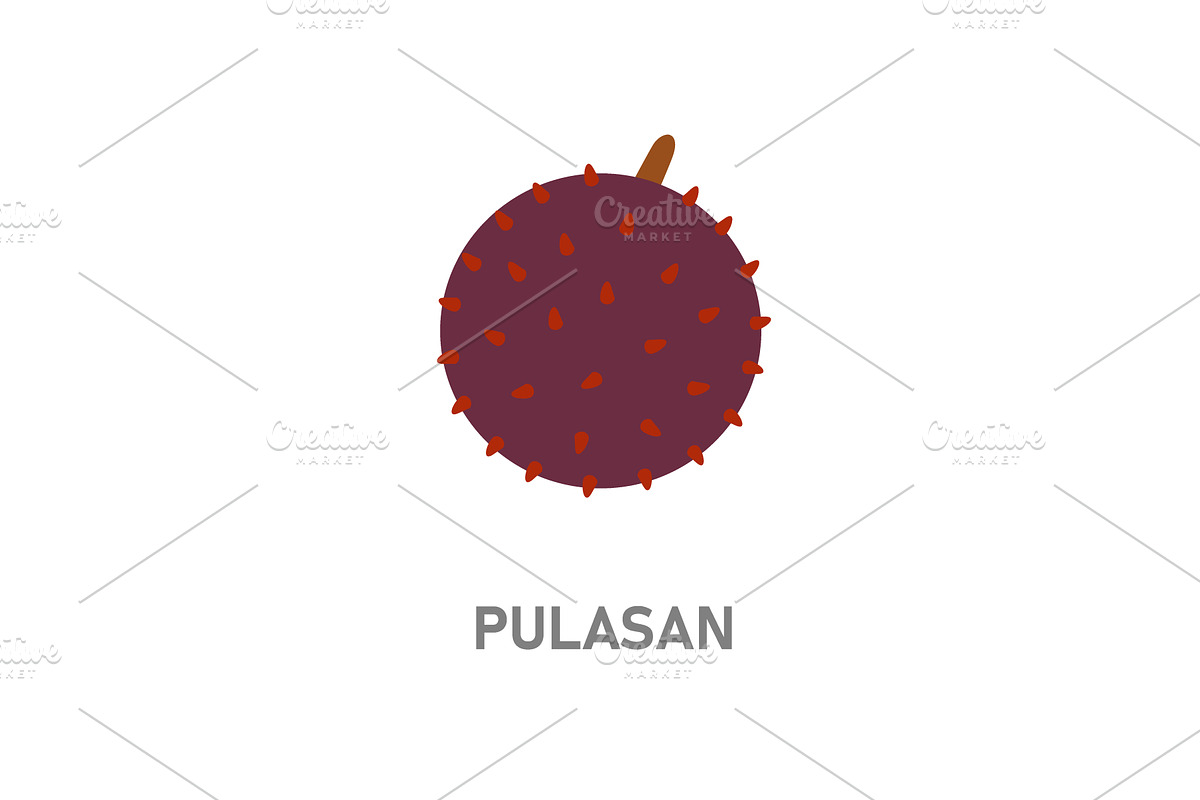 Pulasan exotic tropical fruit icon, a Food Illustration by GraphiShop