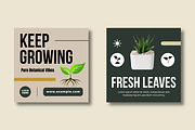 Natural Green Botanical Social Media, a Social Media Template by MightyDesign (Thumbnail 3 of 8)