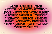 TAN-THISTLE-A DISPLAY FONT, a Slab Serif Font by TanType (Thumbnail 9 of 10)