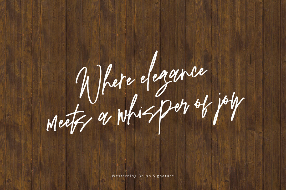 Westerning - Brush Signature, a Handwritten Font by tebaltipislab (Photo 4 of 12)
