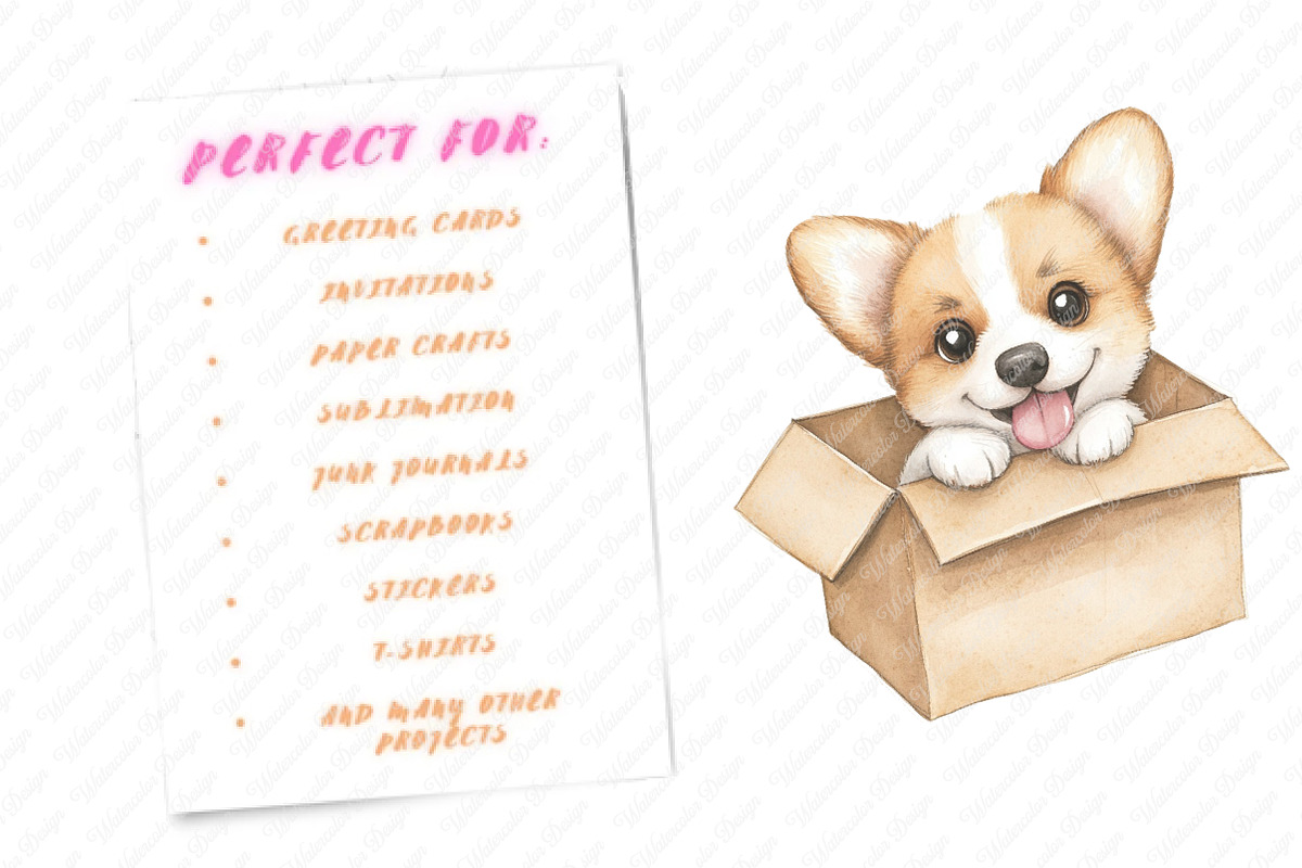 Funny Cute Animal Peeking clipart, an Illustration by Watercolor design (Photo 11 of 13)