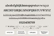 Hakira | Vintage Elegant Serif Font, a Serif Font by The Gelato Type (Thumbnail 16 of 16)