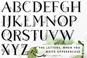 Blossom Font + EXTRAS, a Slab Serif Font by Chimerique (Thumbnail 11 of 14)