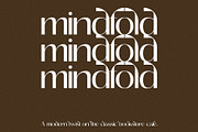 Goldfish - Elegant & Chic Sans Serif, a Sans Serif Font by subkulturetype (Thumbnail 6 of 8)