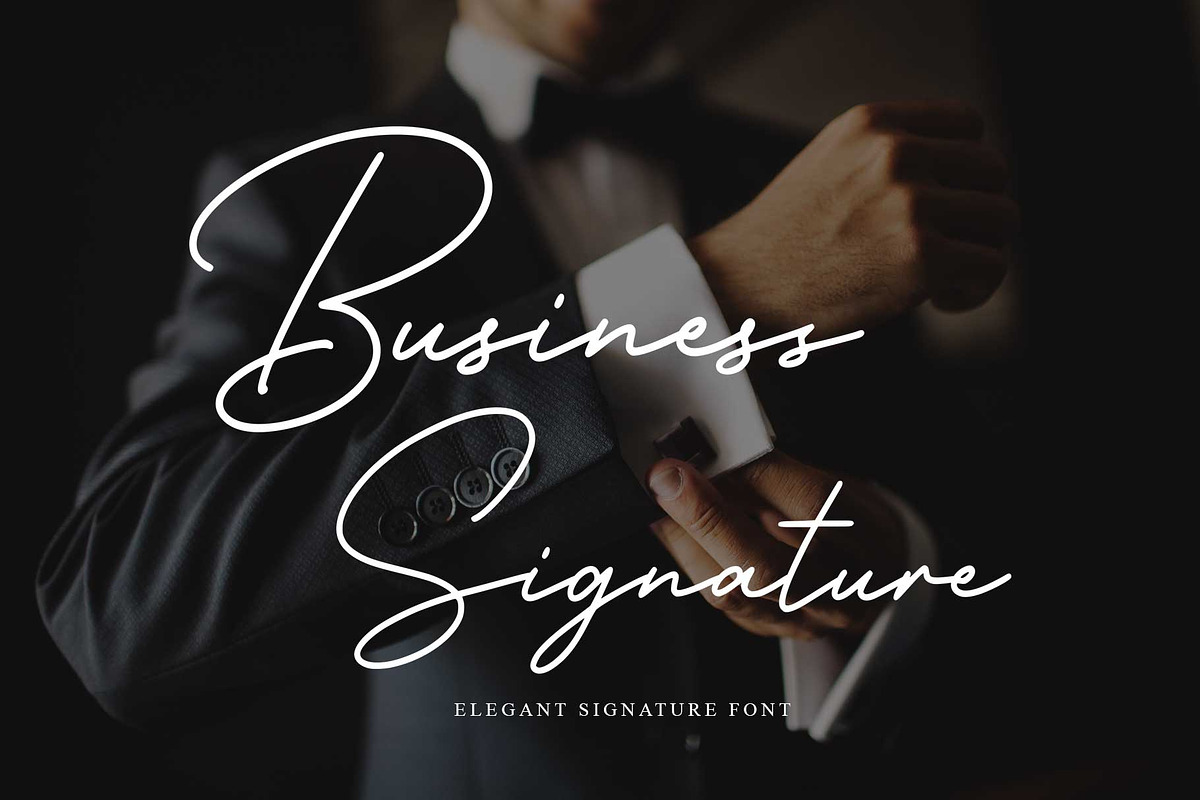 Business Signature - Font, a Script Font by Nirmana Visual (Photo 1 of 7)