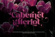 Bitra - Beauty Serif Family, a Serif Font by creativemedialab (Thumbnail 16 of 17)