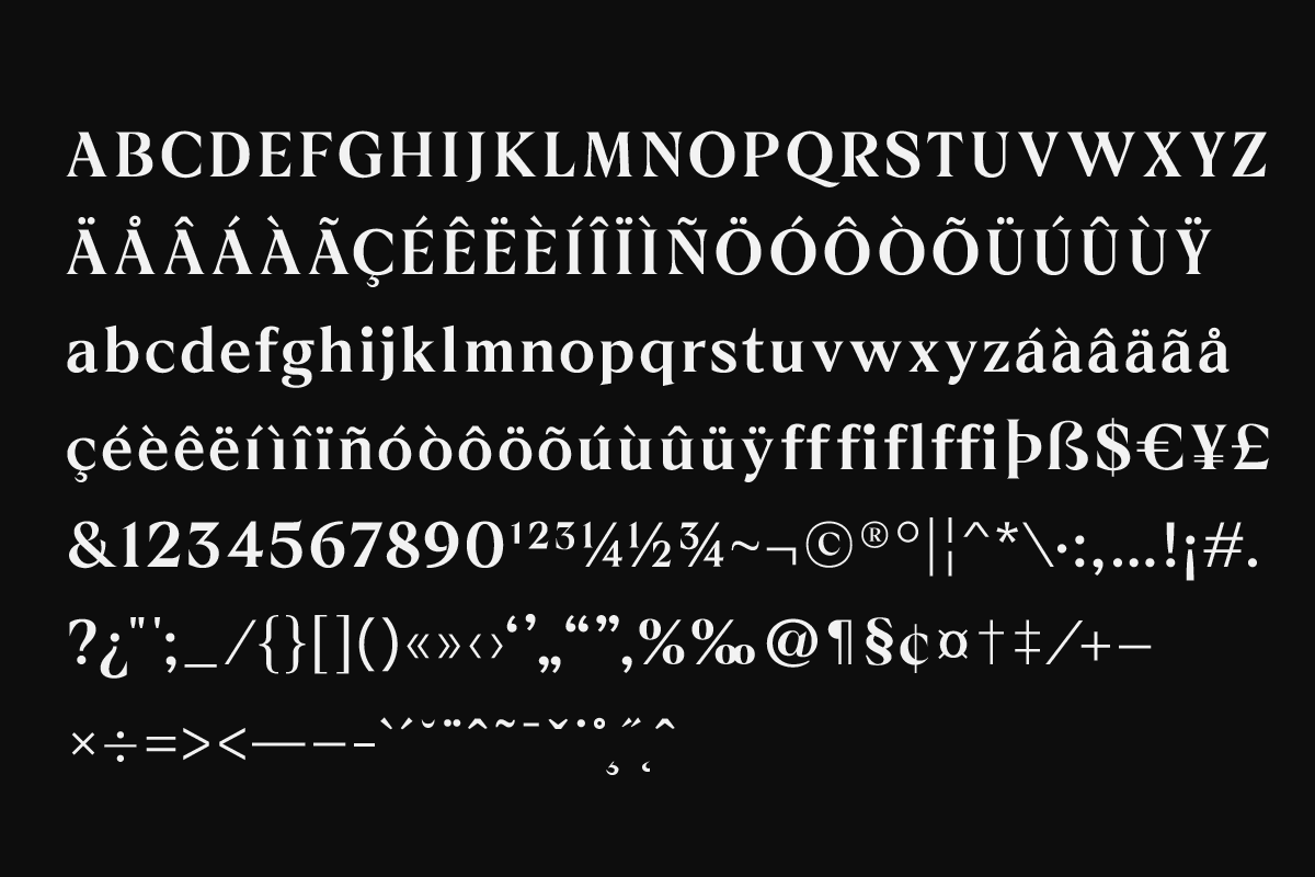 Bronie – Classic Serif, a Serif Font by Yukita Creative (Photo 10 of 10)