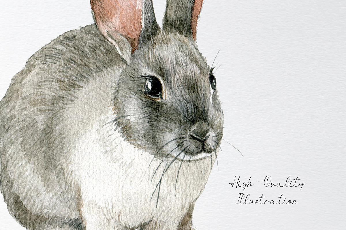 Watercolor white bunny clipart, an Animal Illustration by yana.fefelova (Photo 3 of 4)