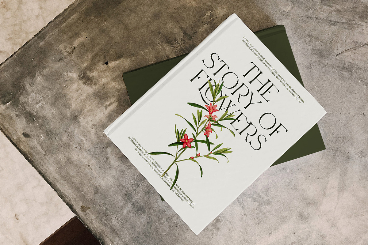 Merilo Elegant Serif Font, a Serif Font by Graphicxell (Photo 8 of 8)