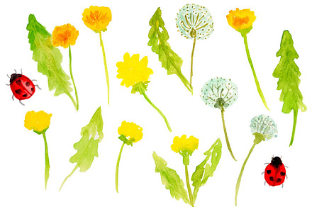 Watercolor Dandelions
