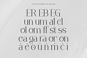 Chaltera | Modern Ligature Serif, a Serif Font by Typoraith Co (Thumbnail 11 of 11)