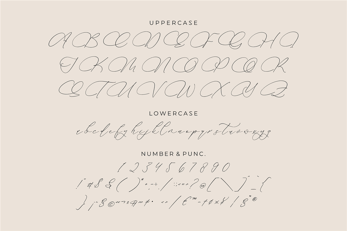 Andaluse Selioth Beauty Script Font, a Script Font by Storytype Studio (Photo 13 of 15)