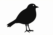 Bird Silhouette design bundle, an Illustration by BIPLOB EXPERT (Thumbnail 3 of 13)