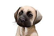 Puppies Dog Breeds Vol. 1; 1 to 30, an Animal Illustration by Dneprstock (Thumbnail 8 of 8)
