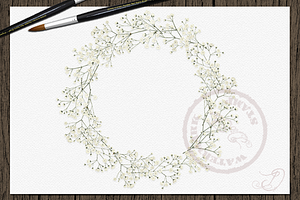 Baby's Breath Watercolor Clipart