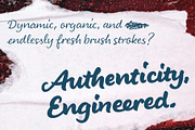 LiebeHeide Brush, a Font by LiebeFonts (Thumbnail 10 of 20)