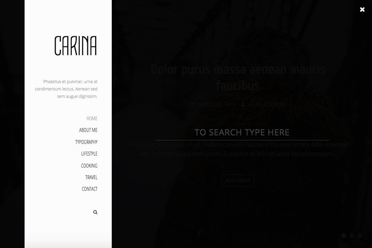 Carina - Modern WordPress Blog Theme, a WordPress Template by Webodo Themes (Photo 4 of 5)