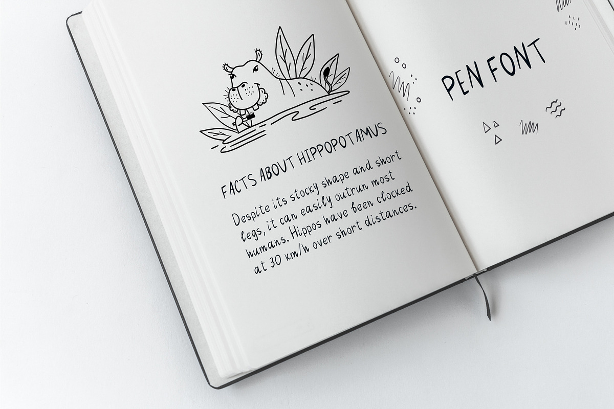 Pencil Pen Handwriting Font, a Script Font by AnkaDrozd (Photo 4 of 6)