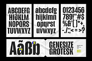 Genesize Grotesk - Condensed Font, a Sans Serif Font by limitype (Thumbnail 4 of 9)