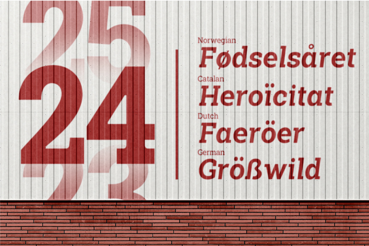 Shemekia, a Slab Serif Font by Areatype (Photo 15 of 15)