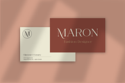 Fragile Chique Serif Font, a Serif Font by zeenesia (Thumbnail 3 of 15)