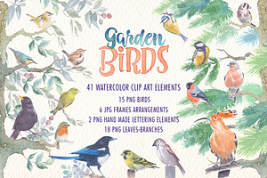 Garden birds watercolor clipart