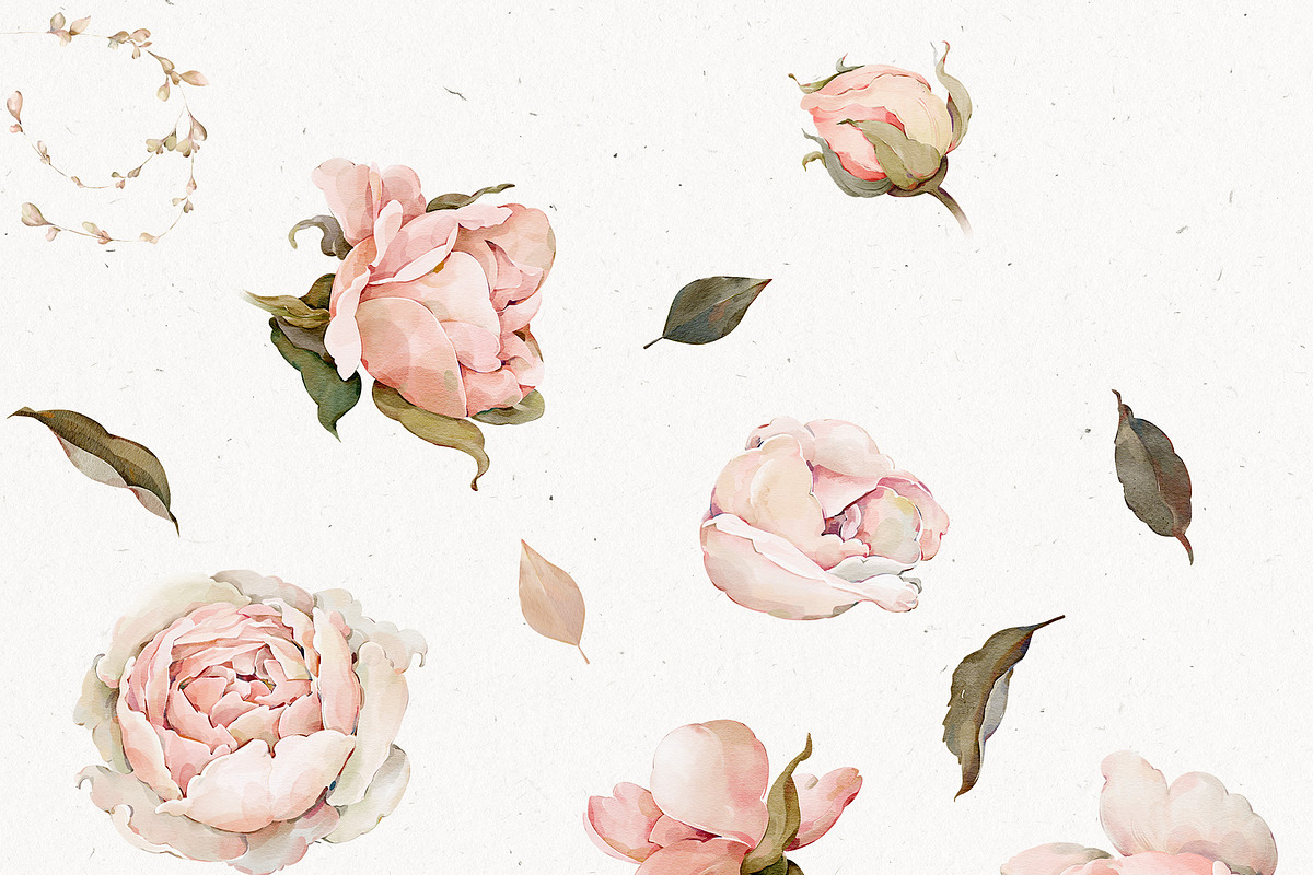 Watercolor Rose Floral Elements, a Decorative Illustration by Damian Roh (Photo 8 of 13)