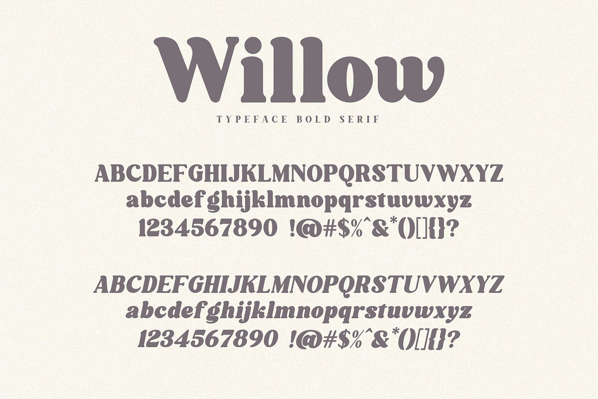 Willow. Typeface Bold Serif, a Serif Font by Kleffont Studio (Photo 10 of 10)