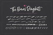 Just Heavenly Brush Font & Extras, a Script Font by Nicky Laatz (Thumbnail 8 of 12)