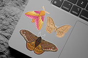 Moth Illustration Vector Set, an Illustration by Kusumaillustration (Thumbnail 9 of 11)