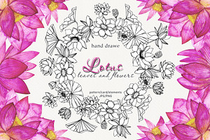 Lotus flowers and leaves