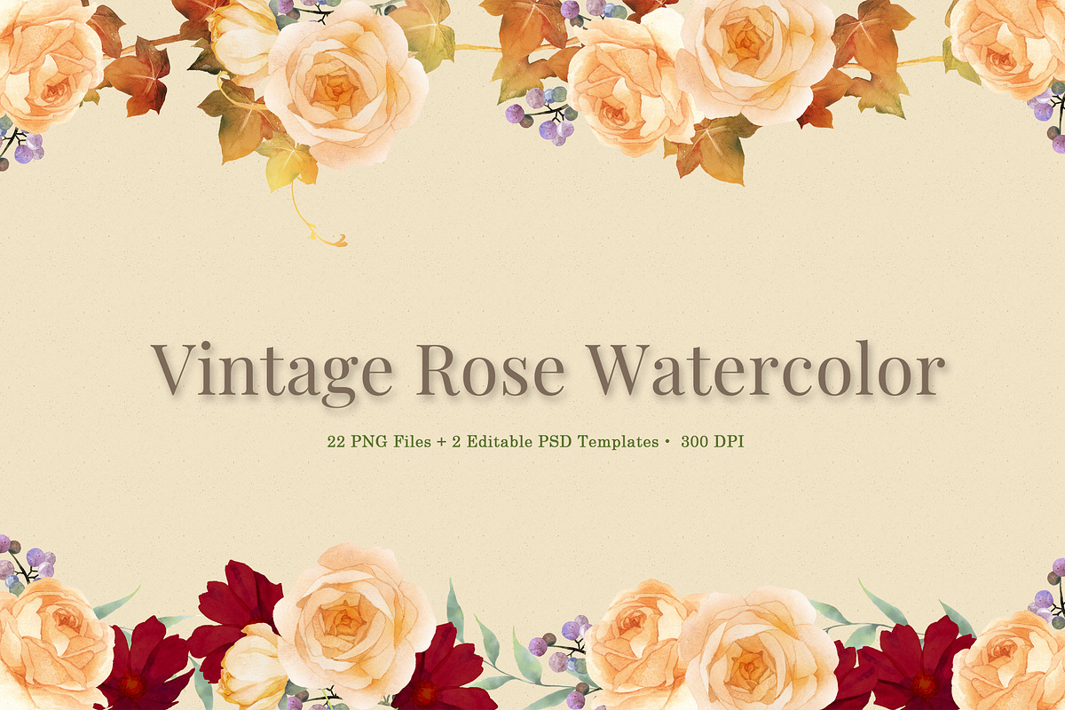 Vintage Rose Watercolor– PNG&PSD, an Illustration by Gallery House (Photo 1 of 5)