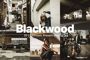 20 Blackwood Lightroom Presets LUTs