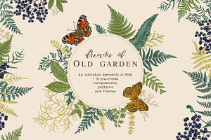 Old garden