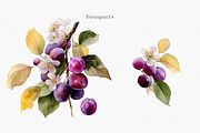 Watercolor Plum Bouquet Clipart, a Decorative Illustration by ThaismotaCreativeCo (Thumbnail 4 of 12)