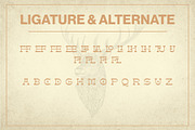Smora - Western Font, a Slab Serif Font by Shakira Studio (Thumbnail 10 of 12)