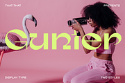 Gunter Display Font, a Sans Serif Font by That That Creative (Thumbnail 1 of 20)