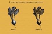 Fruit and Vegetable Illustrations, a Food Illustration by BirDIY Design (Thumbnail 5 of 10)