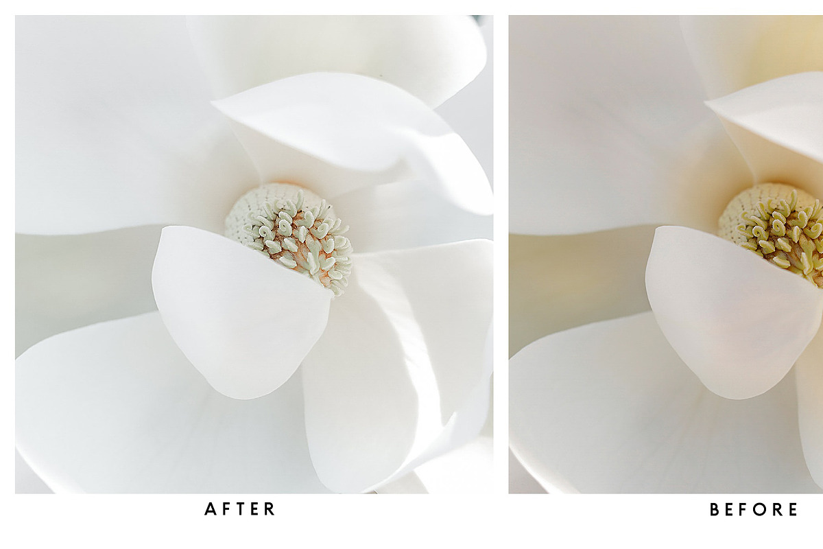 Natural Lightroom Mobile Preset, an Action Add-On by Lux Light (Photo 5 of 28)