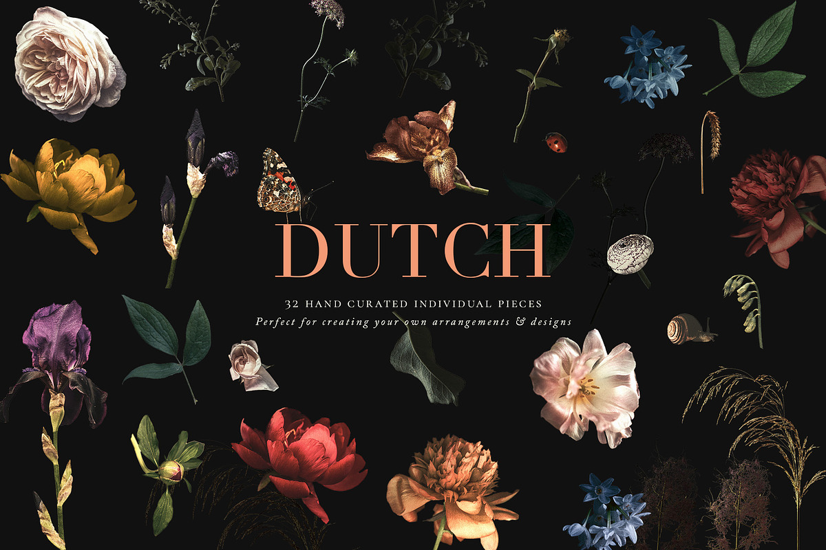 Vintage Floral Clip Art - Dutch, an Illustration by Create The Cut (Photo 4 of 12)