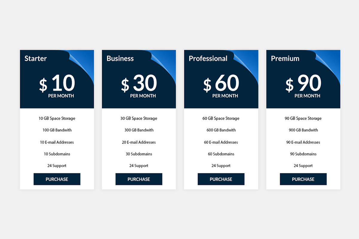 Pricing Table, a Templates & Theme by Youme Techworld (Photo 8 of 8)
