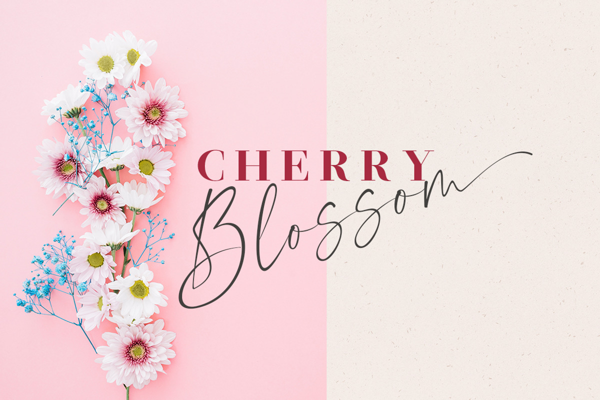 Morning Flower Font Duo, a Script Font by Letter Fresh (Photo 2 of 7)