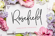 Typographer's Dream Box + 200 Logos, a Script Font by Mats-Peter Forss (Thumbnail 33 of 130)