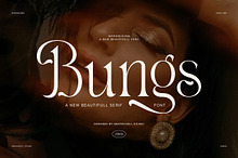 Bungs Elegant Modern Serif Font