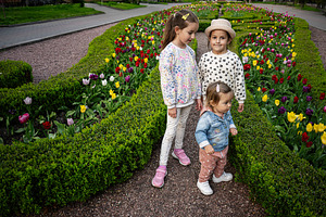 Three young children exploring a vibrant tulip garden on a sunny day, a Person Photo by AS photostudio